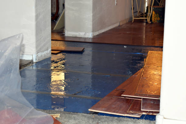 Professional Water Damage Restoration technician working in Raymond, WA